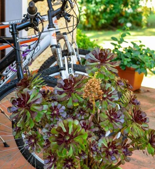 فندق Residence Ristorante Il Paradiso