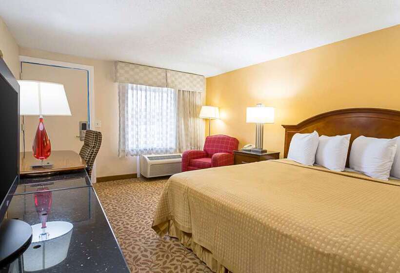 ホテル Rodeway Inn Metro Airport