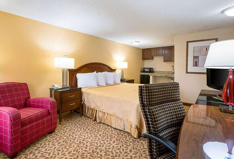 هتل Rodeway Inn Metro Airport