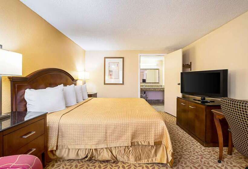 هتل Rodeway Inn Metro Airport