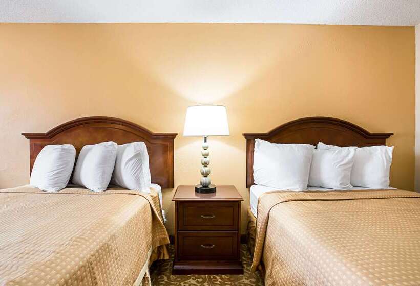 ホテル Rodeway Inn Metro Airport