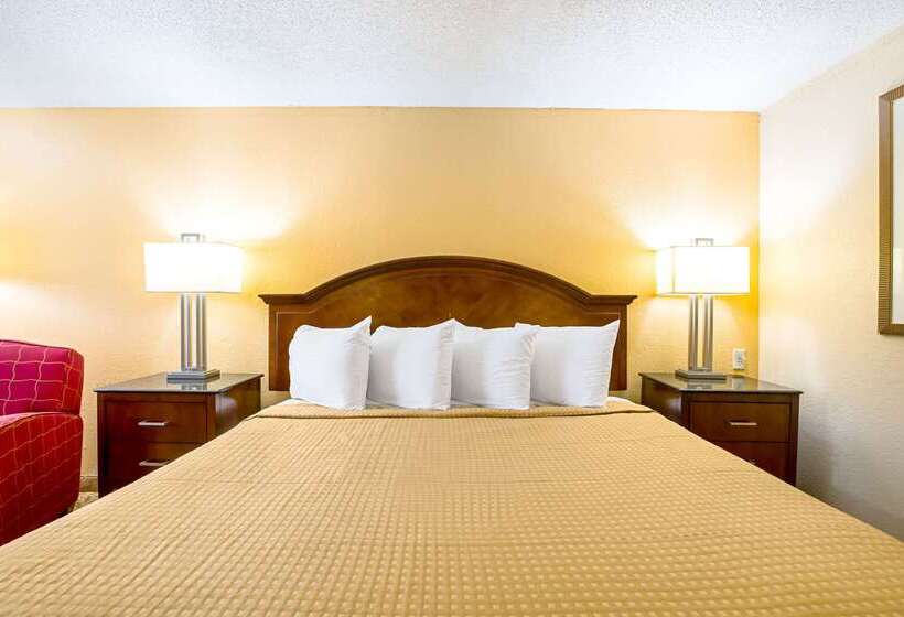 ホテル Rodeway Inn Metro Airport