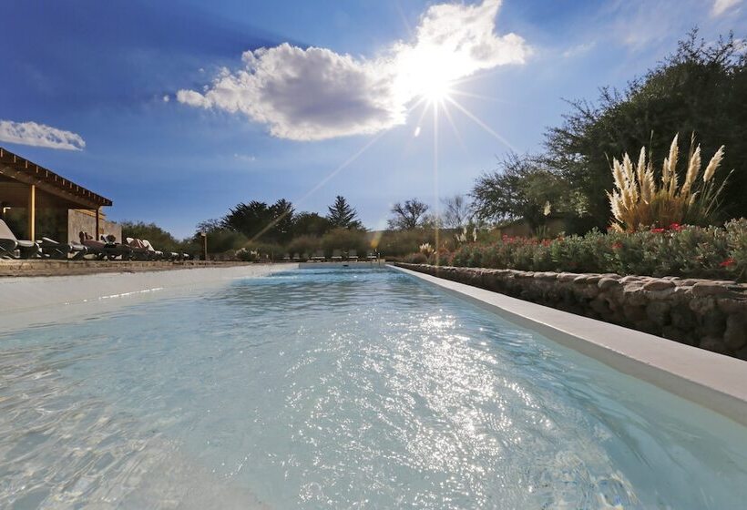 田舎風ホテル Cumbres San Pedro De Atacama