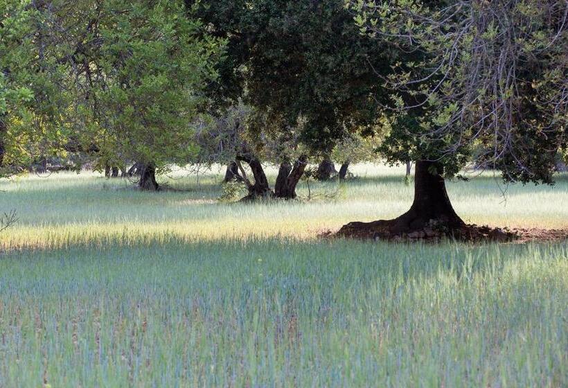 교외 호텔 Finca Can Beneit