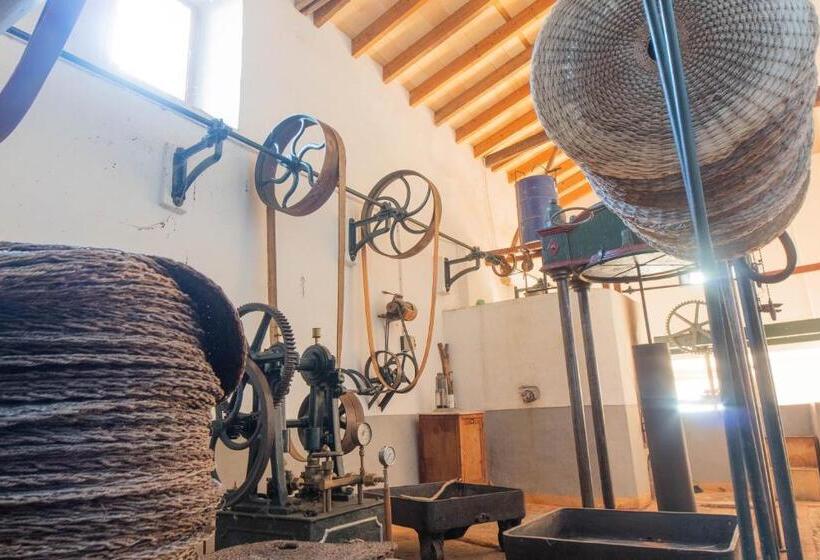 فندق ريفى Finca Can Beneit