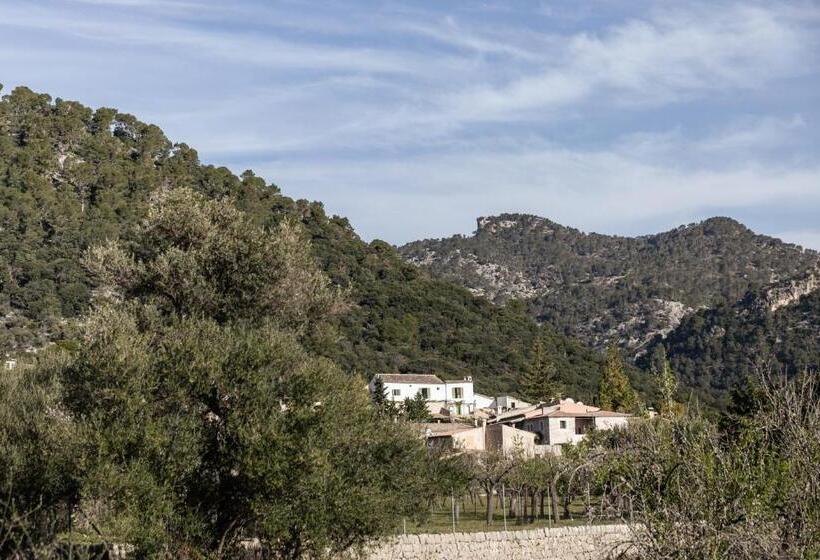 교외 호텔 Finca Can Beneit