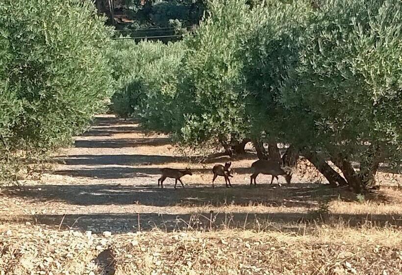 בית מלון כפרי San Julian