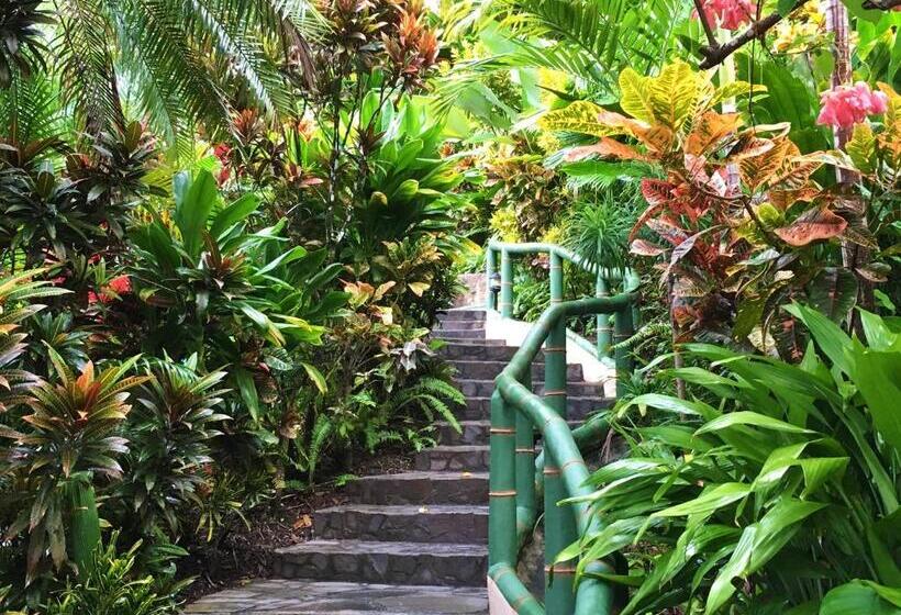 酒店 Si Como No Resort & Wildlife Refuge