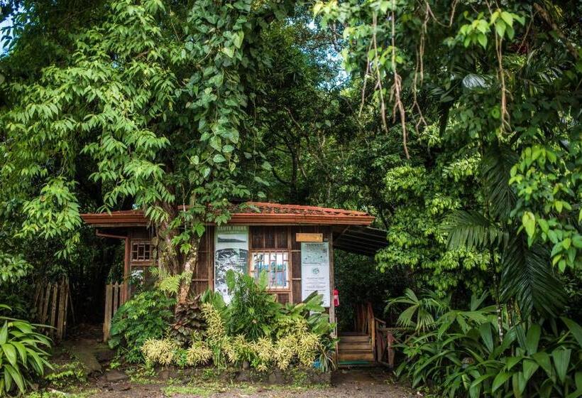 酒店 Si Como No Resort & Wildlife Refuge