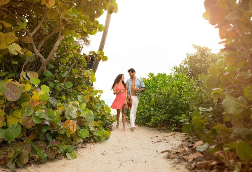 فندق Sole Miami A Noble House Resort