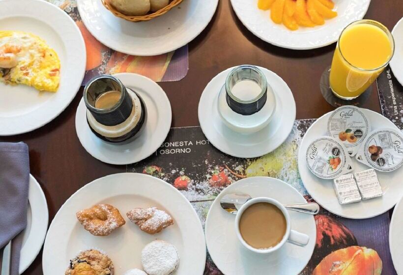 Sonesta Hotel Osorno