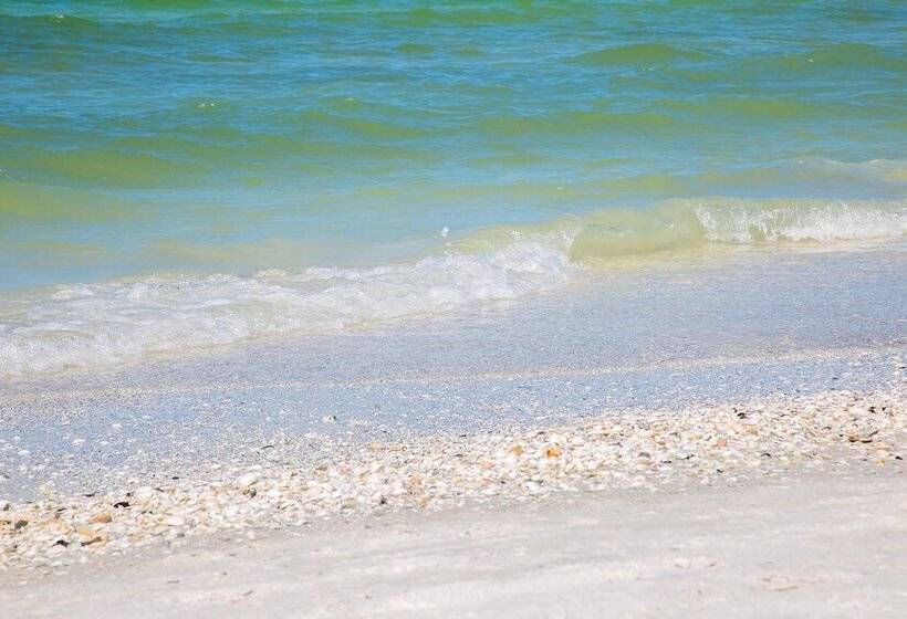 فندق South Seas Tower 4 1912