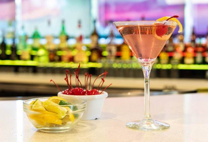 酒店 Springhill Suites Miami Downtown/medical Center