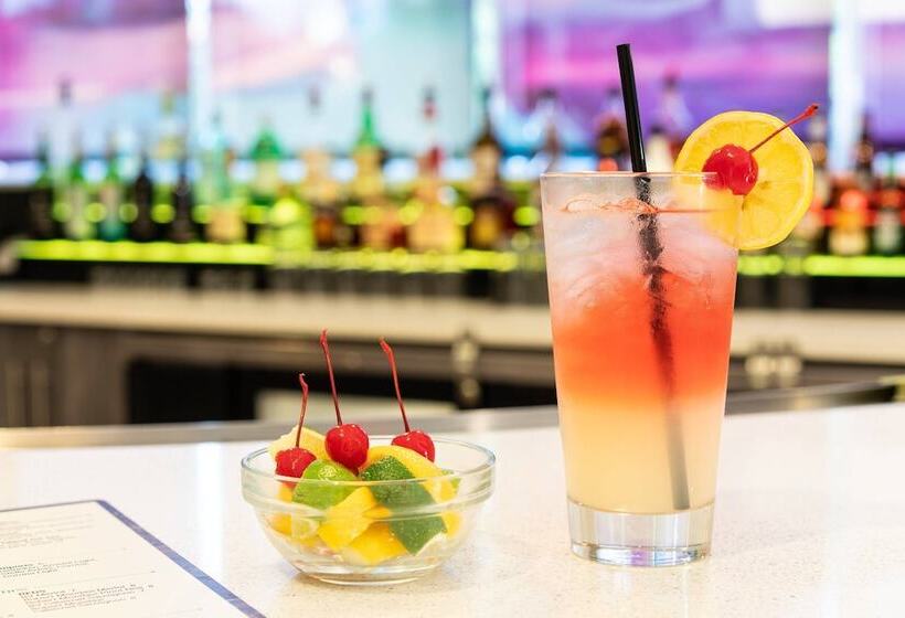 酒店 Springhill Suites Miami Downtown/medical Center