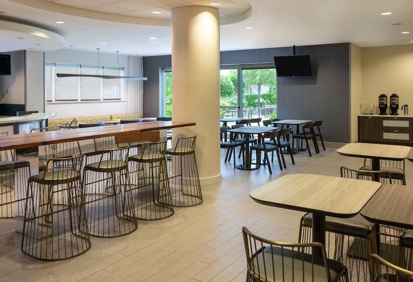 酒店 Springhill Suites Miami Downtown/medical Center