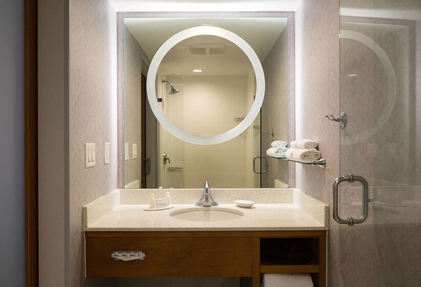 酒店 Springhill Suites Miami Downtown/medical Center