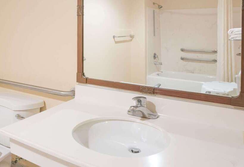 酒店 Super 8 By Wyndham Sealy