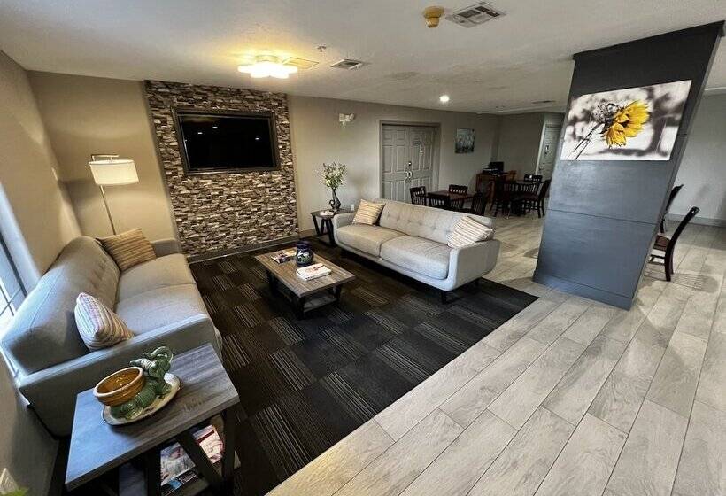 酒店 Super 8 By Wyndham Sealy