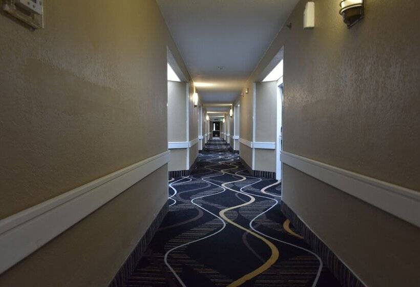 ホテル The Paragon Of Golden Isles