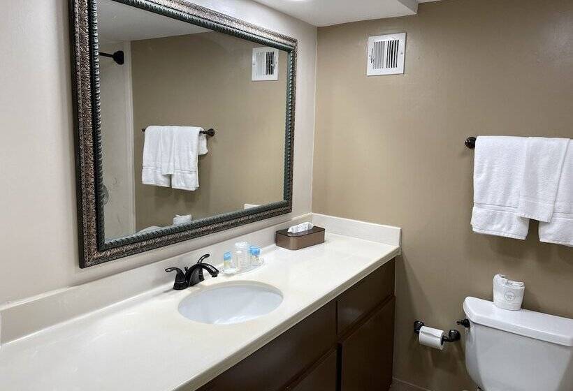 ホテル The Paragon Of Golden Isles