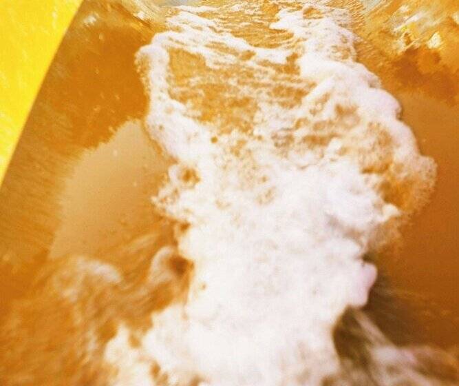 فندق The Westin Resort Costa Navarino