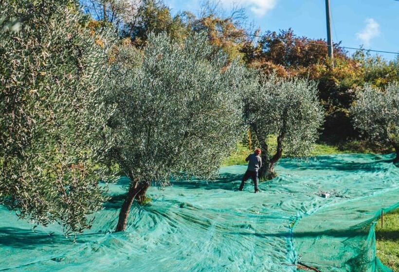 هتل Villa Giorgia Albergo In Collina