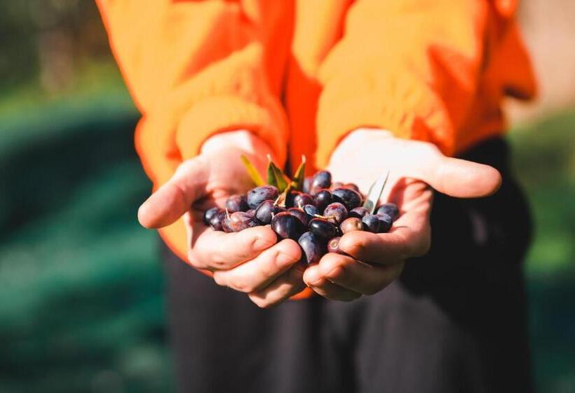هتل Villa Giorgia Albergo In Collina