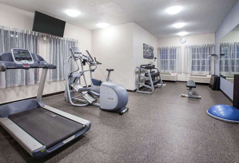 酒店 Wingate By Wyndham Roseville/detroit