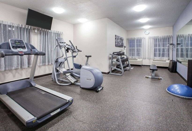 酒店 Wingate By Wyndham Roseville/detroit