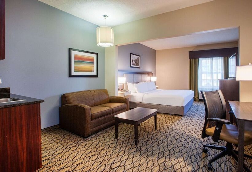 酒店 Wingate By Wyndham Roseville/detroit