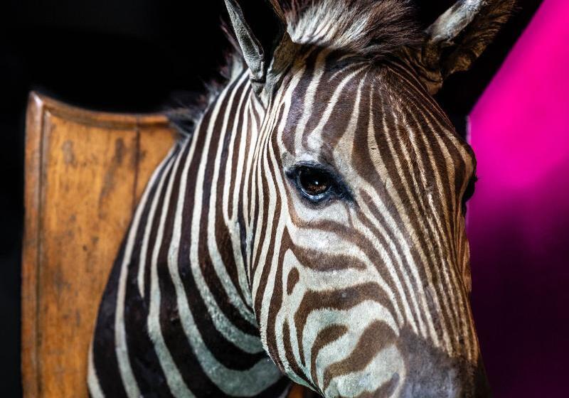 Hux Hotel, Kensington