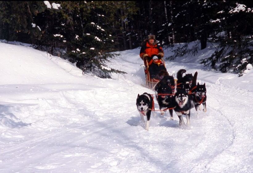 Kan à Mouche Pourvoirie Auberge Et Chalets