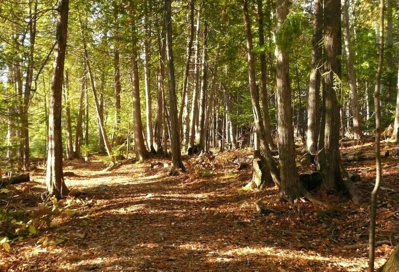 Kan à Mouche Pourvoirie Auberge Et Chalets