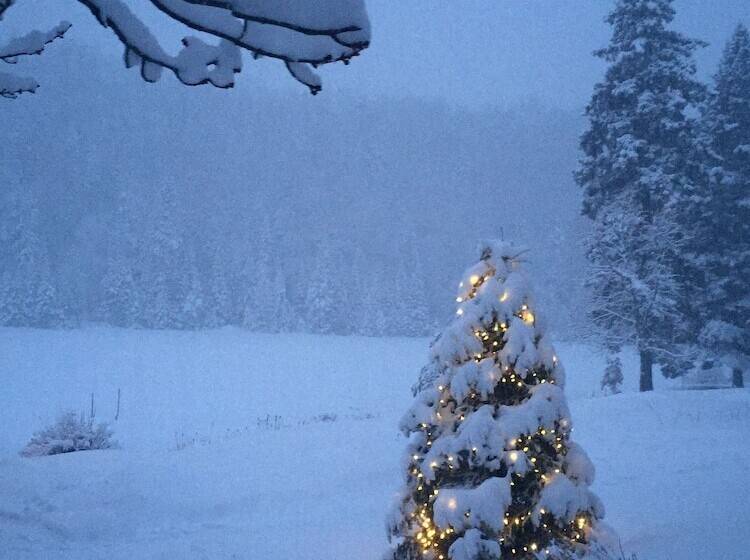 Kan à Mouche Pourvoirie Auberge Et Chalets