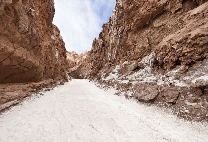 渡假胜地  Nayara Alto Atacama