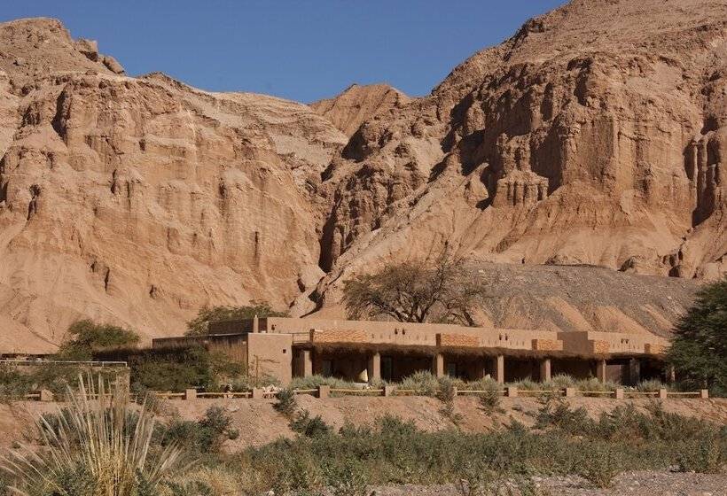 渡假胜地  Nayara Alto Atacama