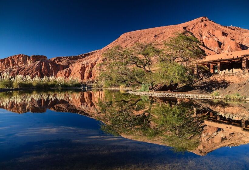 渡假胜地  Nayara Alto Atacama