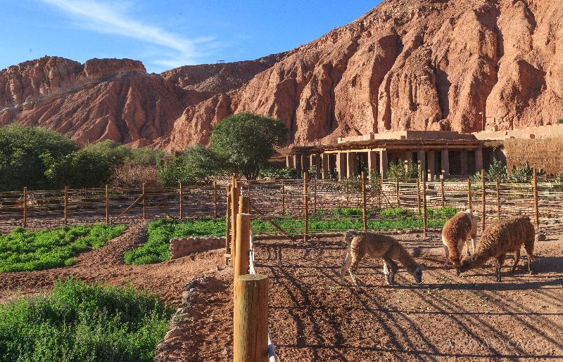 渡假胜地  Nayara Alto Atacama