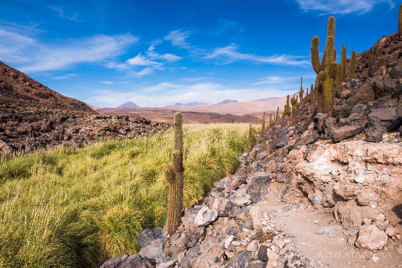 渡假胜地  Nayara Alto Atacama