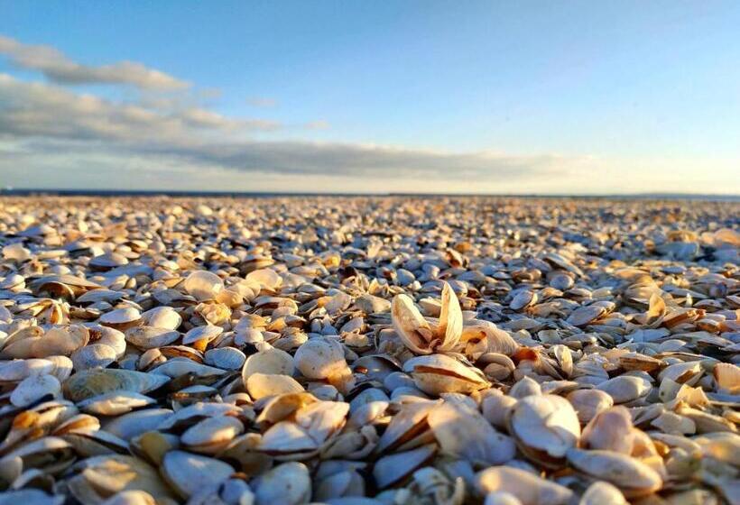 Отель Admirał I