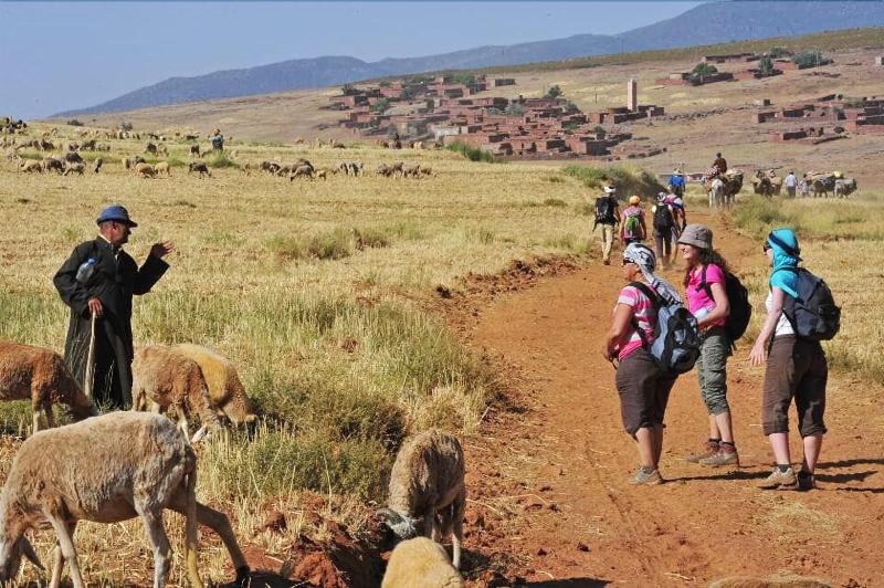 ホテル Auberge Atlas Gorge Dades