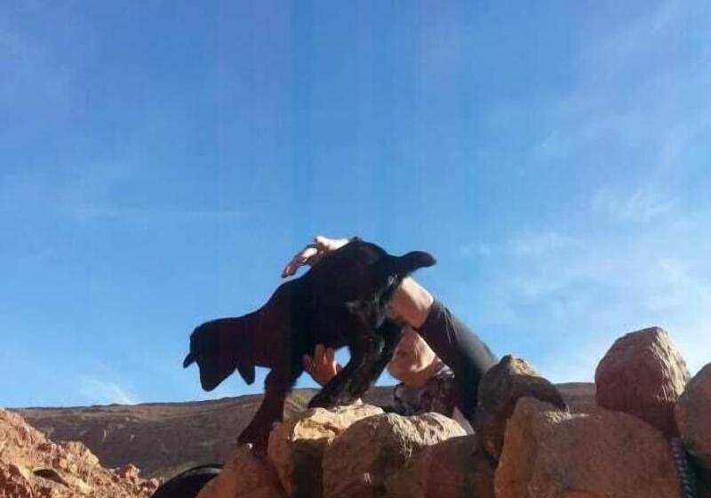 ホテル Auberge Atlas Gorge Dades