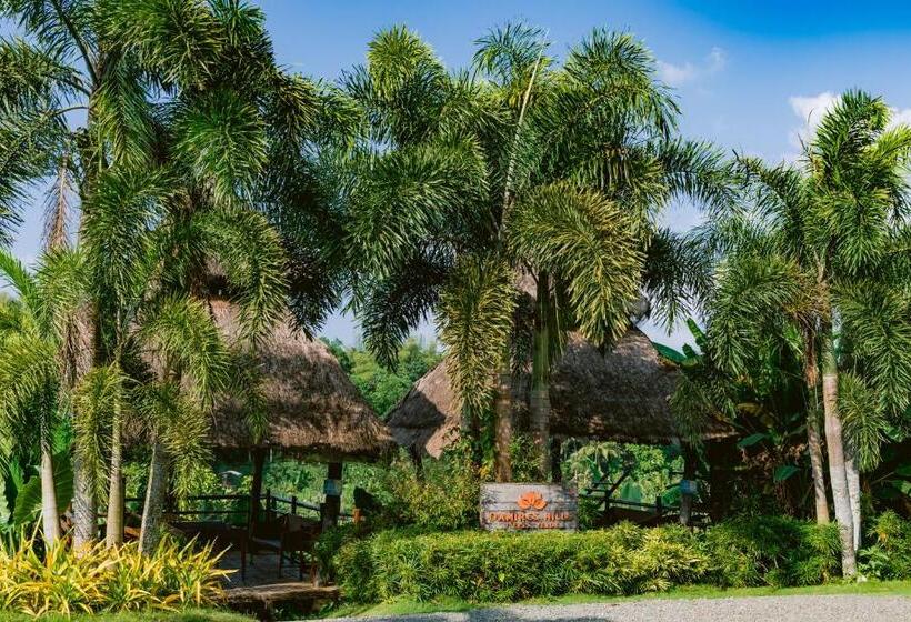 هتل Damires Hills Farm And Spa Resort