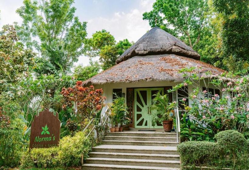 هتل Damires Hills Farm And Spa Resort