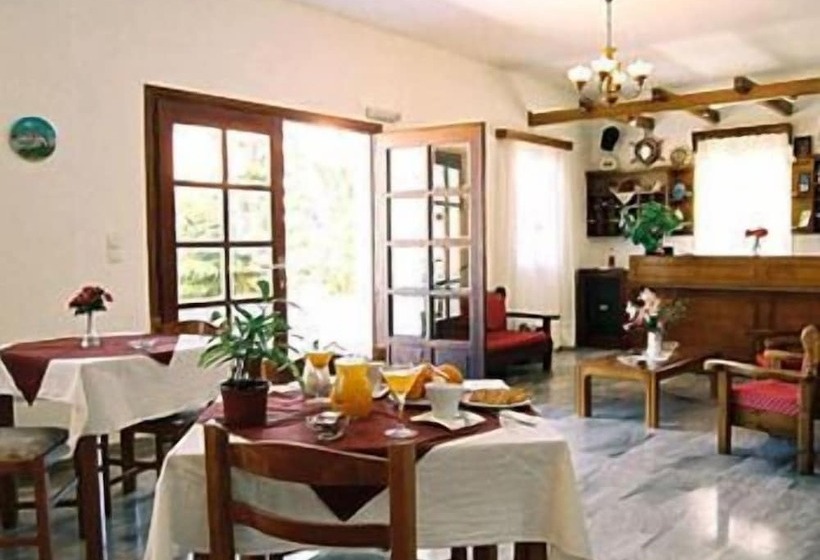 Отель Galaxy Pension