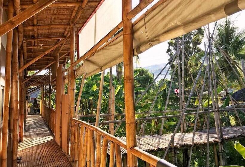 هتل Kasa Raya Inn