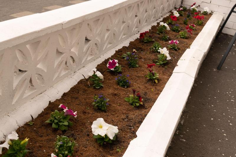 Fotos del hotel Memphis:  12