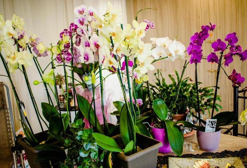 فندق Nikolakakis Rooms Lavrio