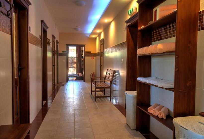 酒店 Penzion Motyl