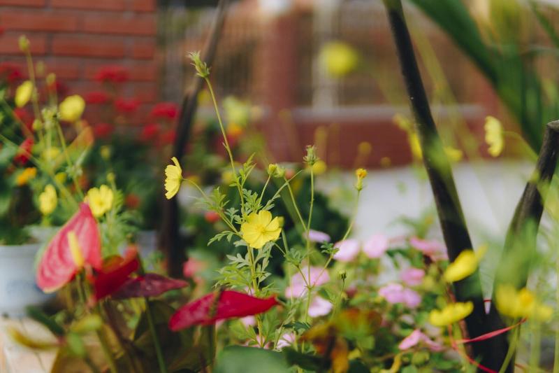 هتل Phong Nha Magic Fingers Homestay And Spa